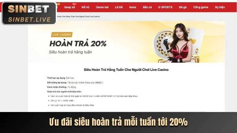 Hoàn trả tiền cược hàng ngày 666win.com